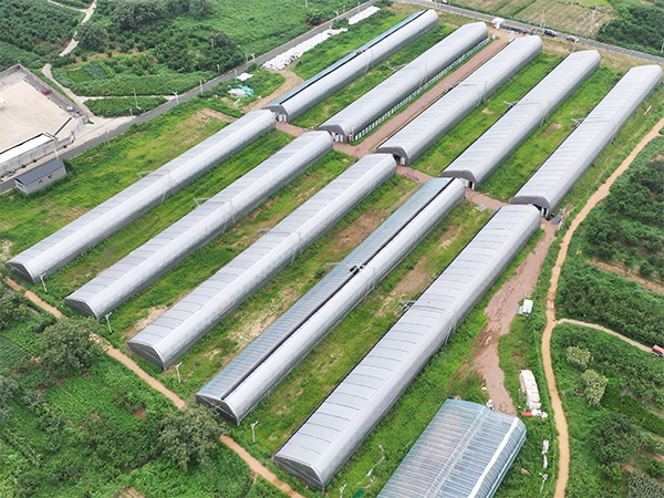 日光温室侧面图