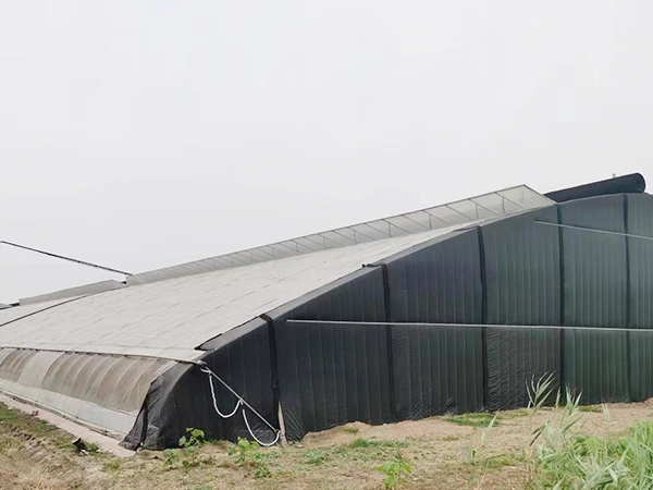 全钢架日光温室