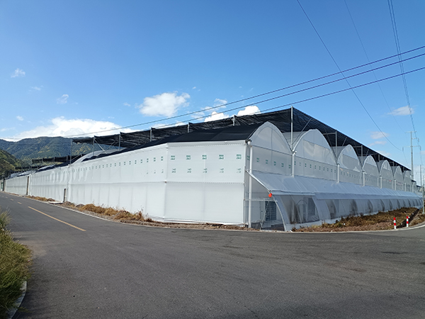多跨薄膜温室