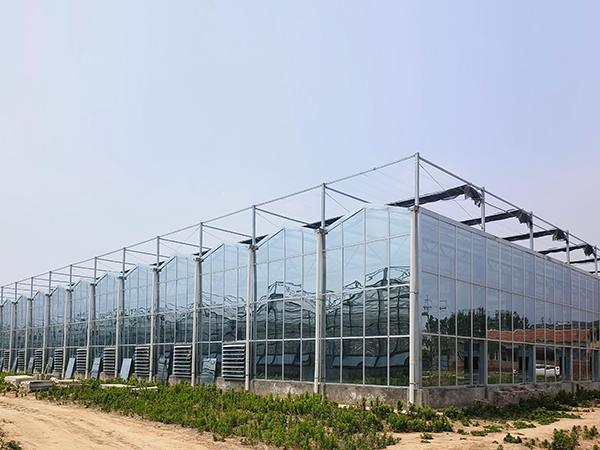智慧玻璃温室