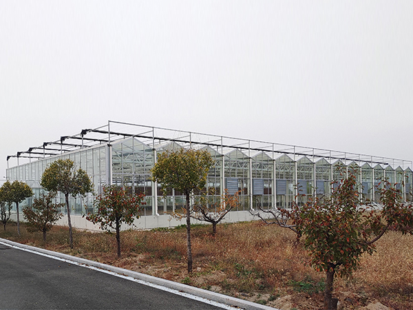 全自动玻璃温室